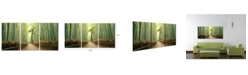 Chic Home Decor Pine Road 3 Piece Wrapped Canvas Wall Art Forest Scene -20" x 40"